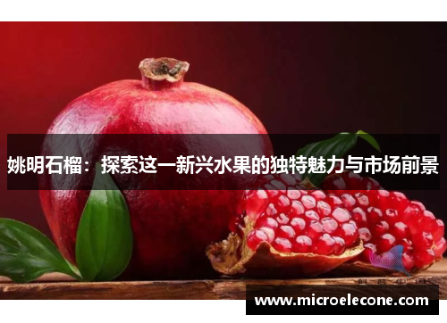 姚明石榴：探索这一新兴水果的独特魅力与市场前景