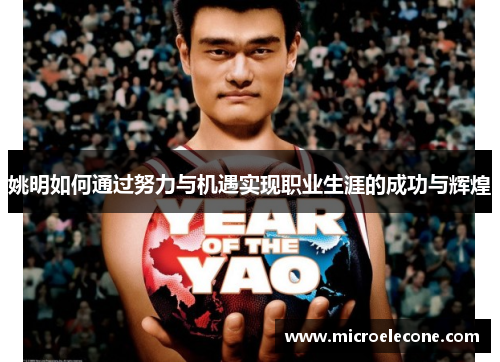 姚明如何通过努力与机遇实现职业生涯的成功与辉煌