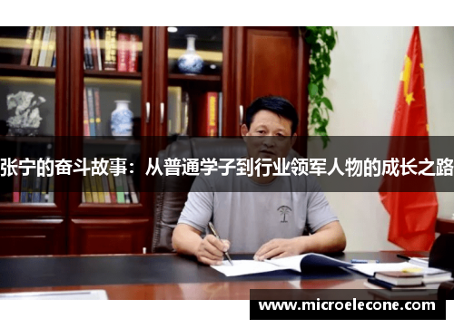 张宁的奋斗故事：从普通学子到行业领军人物的成长之路
