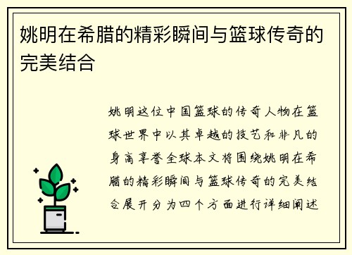 姚明在希腊的精彩瞬间与篮球传奇的完美结合